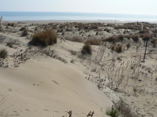 Rassegna sul paesaggio#3 Passeggiata Naturalistica al litorale dell’Ospedale al Mare